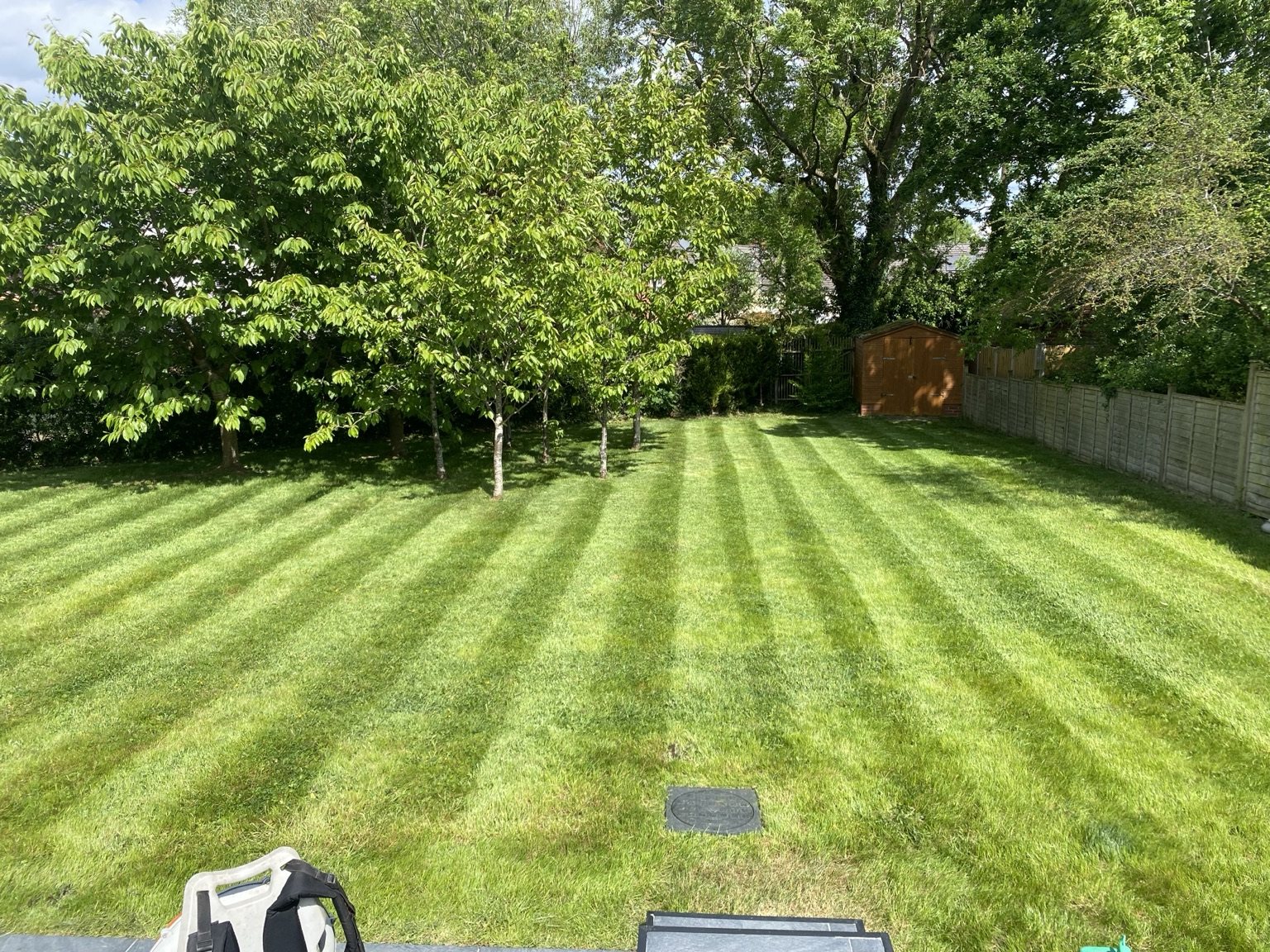 Lawn after grounds maintenance